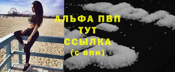 трава Гусиноозёрск
