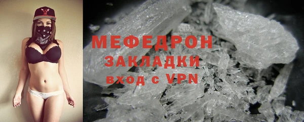 мдпв Гусев