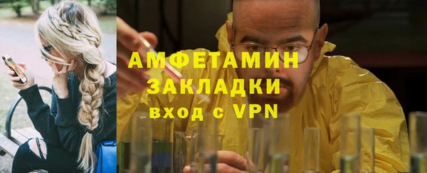 мдпв Гусев