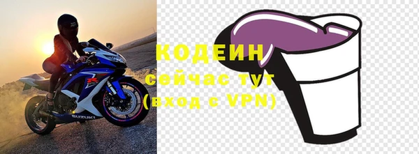 мдпв Гусев