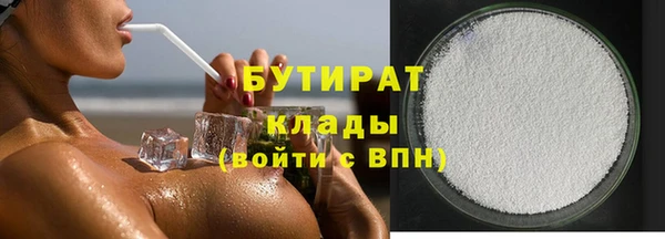 мдпв Гусев