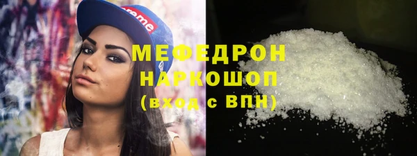 мдпв Гусев