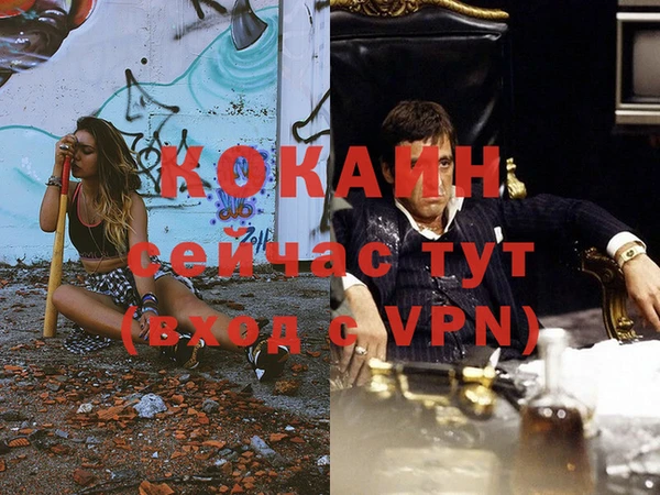 jwh Гусь-Хрустальный