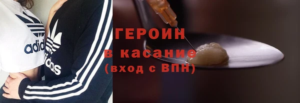 трава Гусиноозёрск