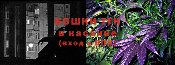 трава Гусиноозёрск