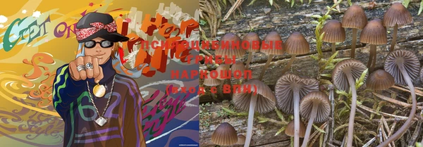jwh Гусь-Хрустальный