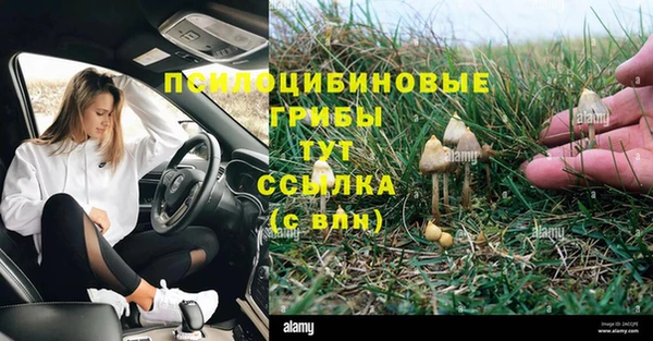 трава Гусиноозёрск