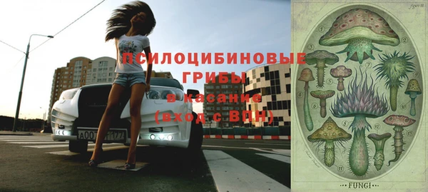 мдпв Гусев
