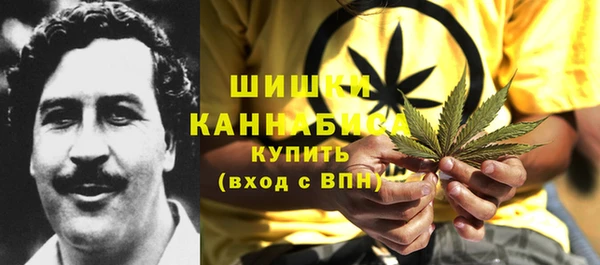 трава Гусиноозёрск
