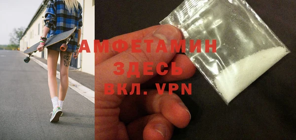 мдпв Гусев