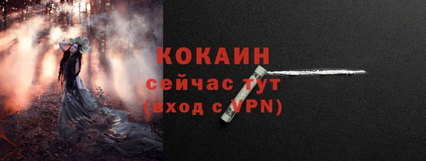 jwh Гусь-Хрустальный